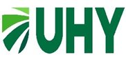 UHY Advisors MI INC.